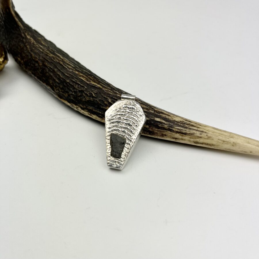 Silver cuttlefish coffin pendant